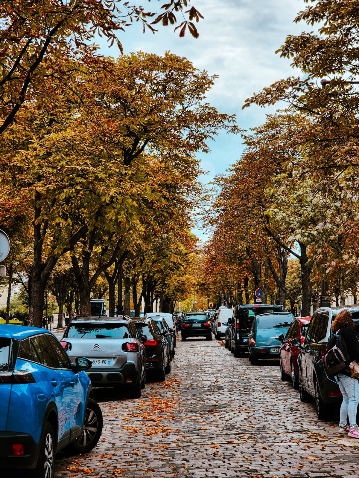 Cobblestone urban street lined with autumn-colored trees