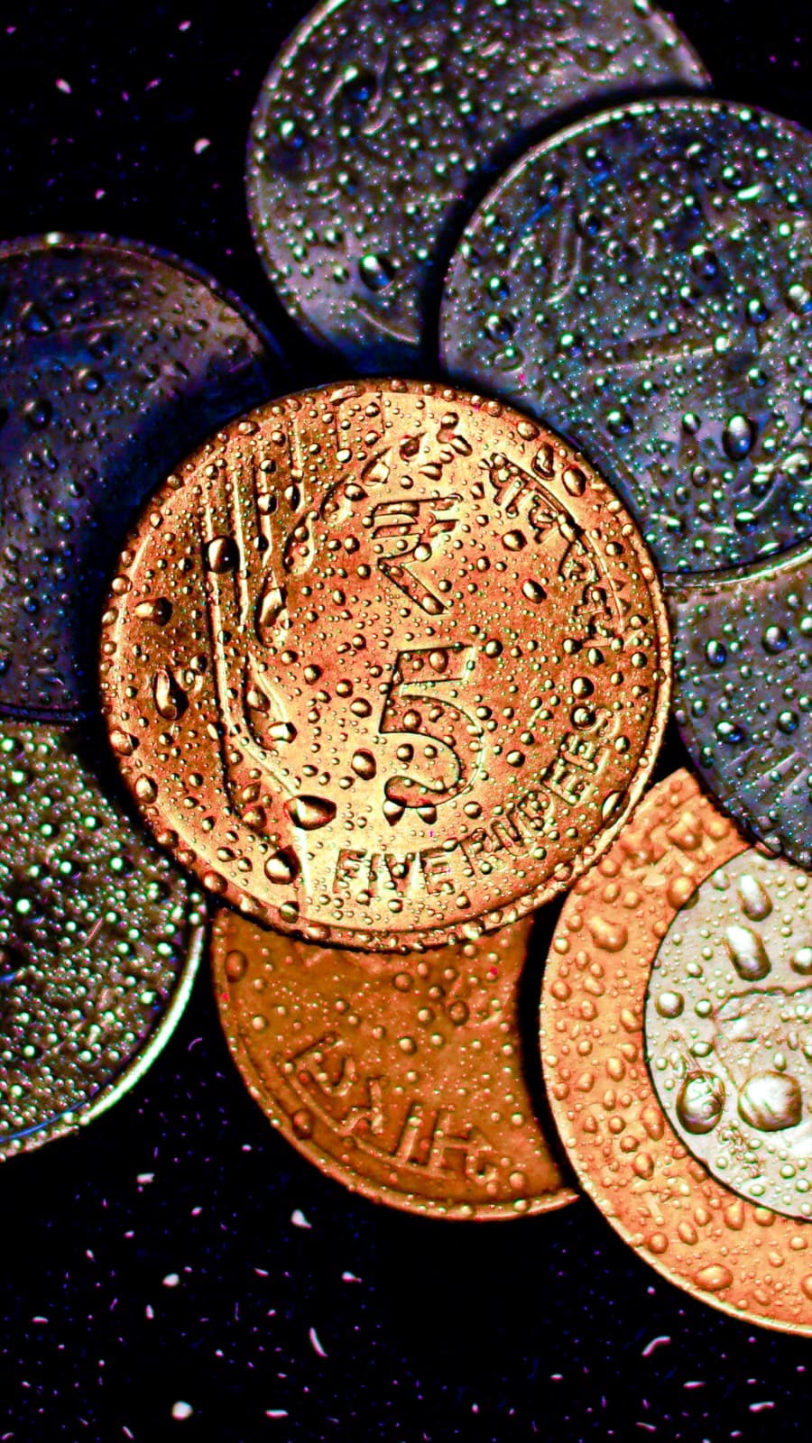 Portfolio image DSC05196 (1).jpg