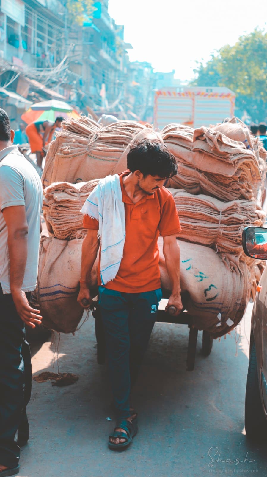Portfolio image IMG_7232.jpg