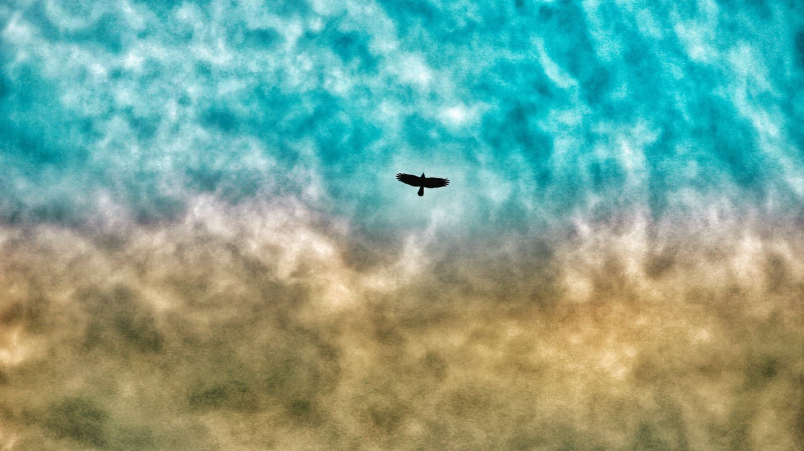 Portfolio image LRM_EXPORT_20190316_231603.jpg