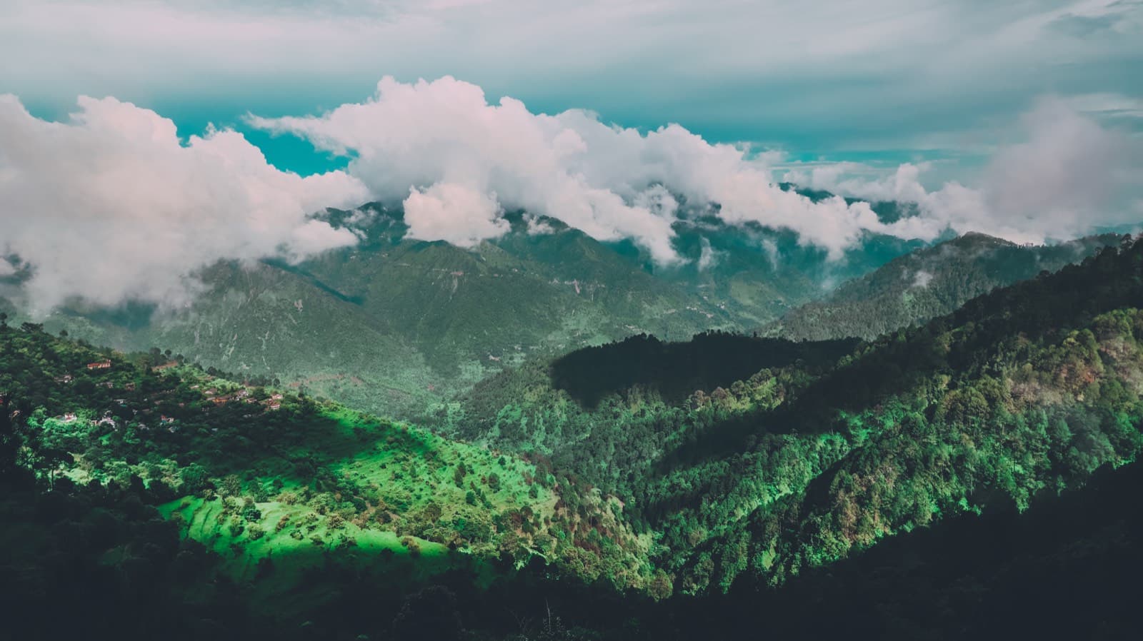 Portfolio image LRM_EXPORT_20190809_155636.jpg