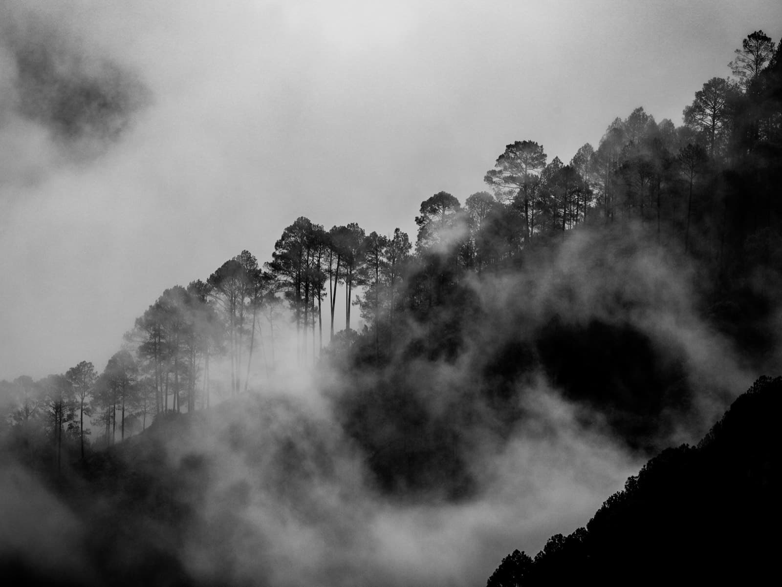 Portfolio image LRM_EXPORT_20190809_191949.jpg