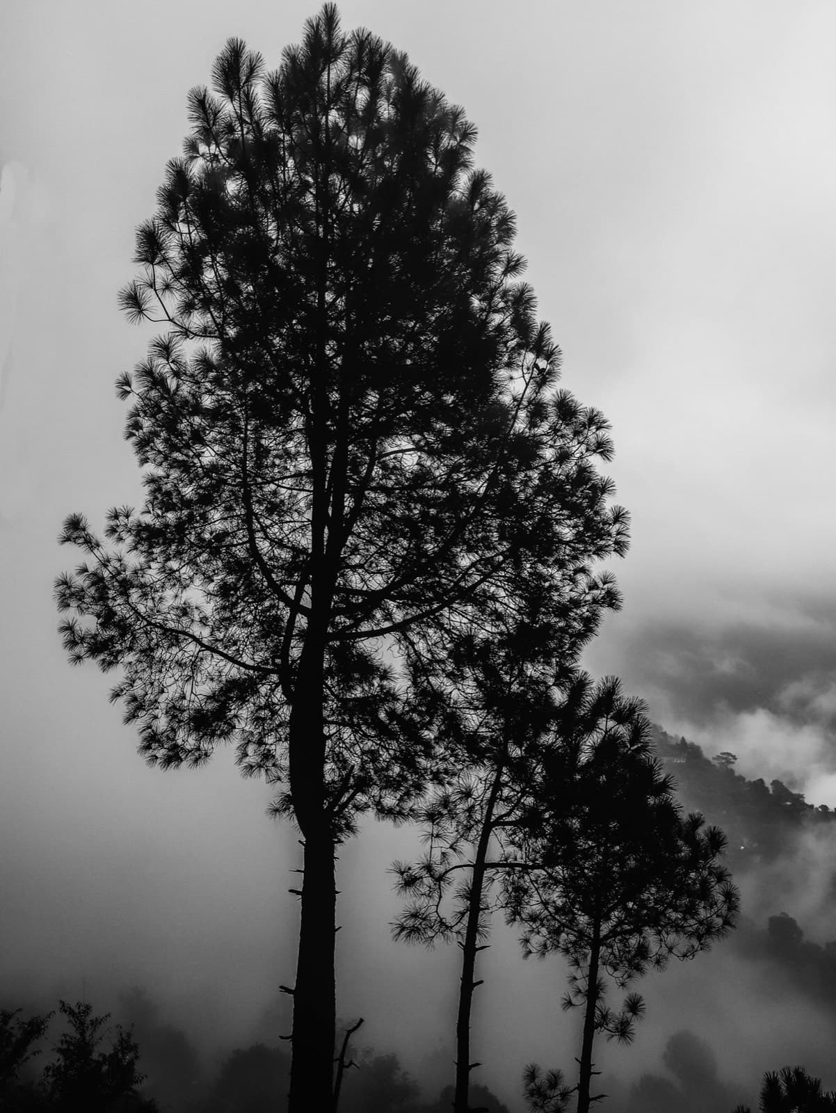 Portfolio image LRM_EXPORT_20190811_002016.jpg