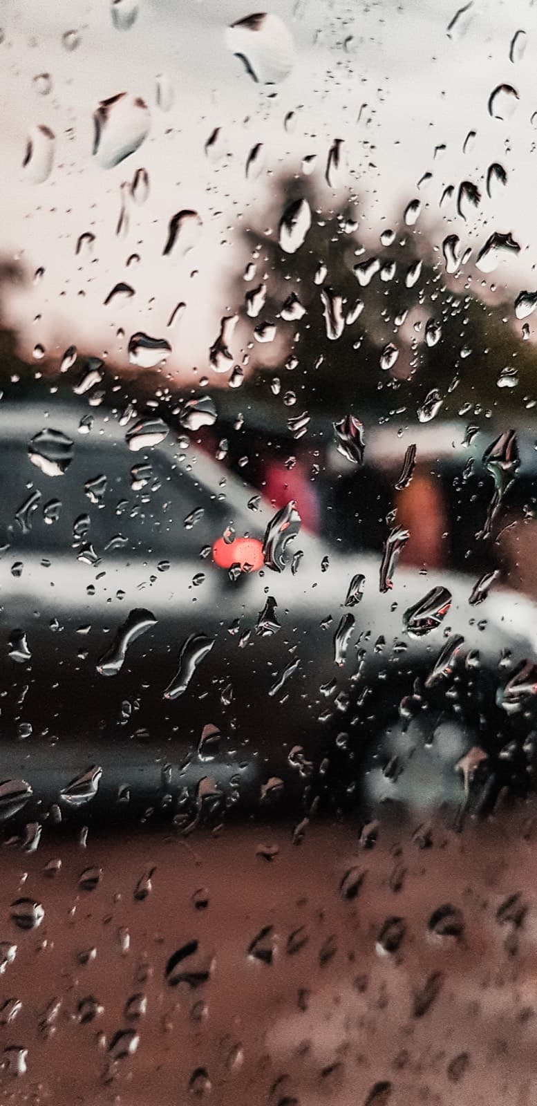 Portfolio image LRM_EXPORT_20190814_142138.jpg