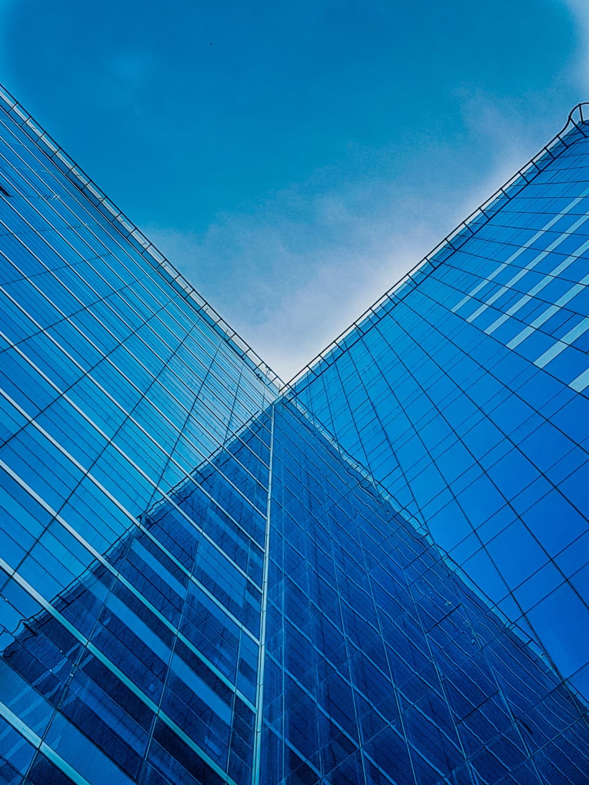 Portfolio image LRM_EXPORT_20191125_235407.jpg